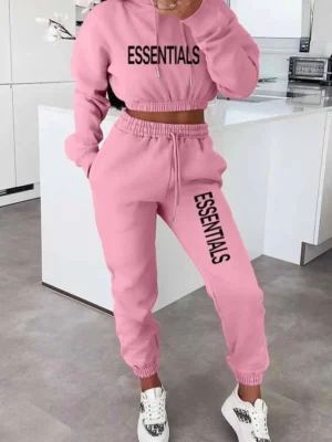 Casual Hooded Collar Long Sleeve Two Pieces