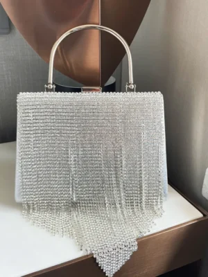 Silver Casual Daily Party Formal Bags