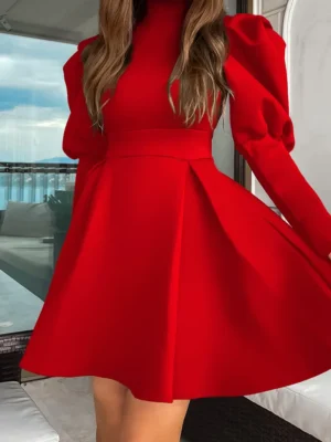 Elegant Turtleneck A Line Dress