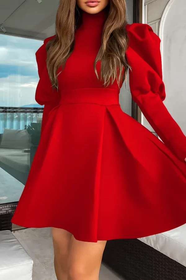 Elegant Turtleneck A Line Dress