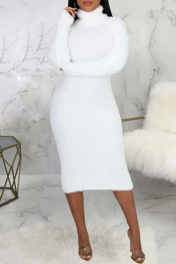 Casual Turtleneck One Step Skirt Dress