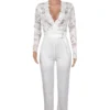 Casual Lace See-through With Belt Zipper V Neck Regular Jumpsuits