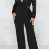 Casual Lace See-through With Belt Zipper V Neck Regular Jumpsuits