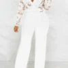 Casual Lace See-through With Belt Zipper V Neck Regular Jumpsuits