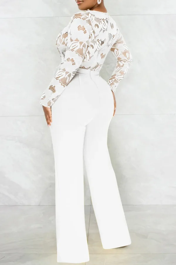 Casual Lace See-through With Belt Zipper V Neck Regular Jumpsuits