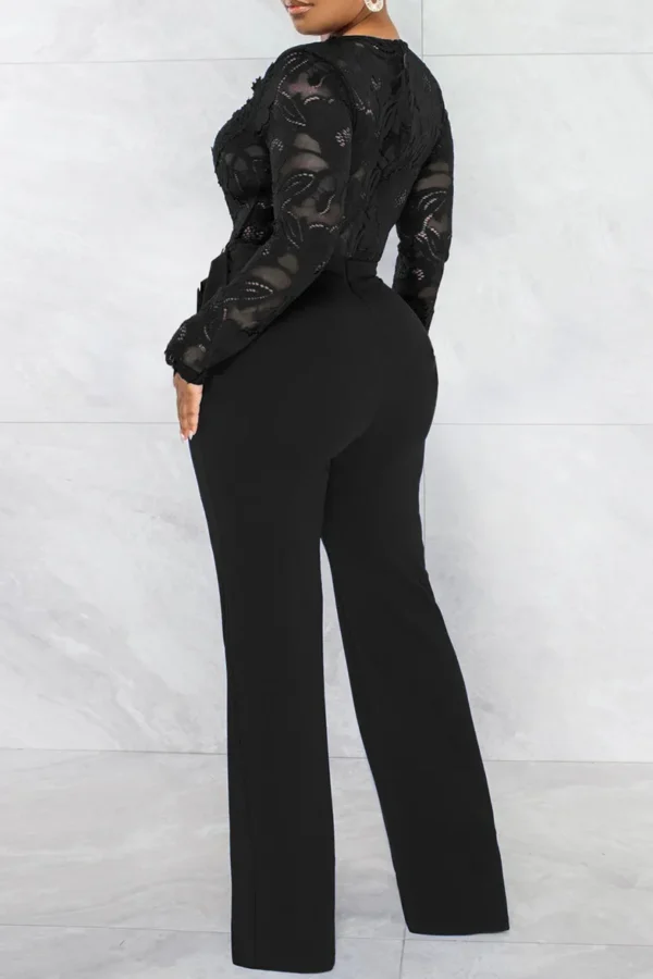 Casual Lace See-through With Belt Zipper V Neck Regular Jumpsuits