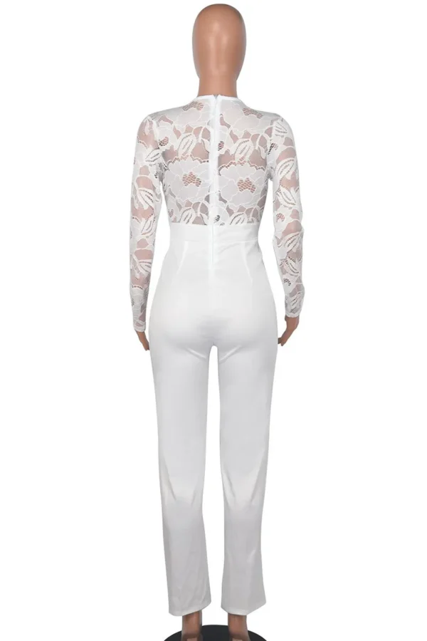 Casual Lace See-through With Belt Zipper V Neck Regular Jumpsuits