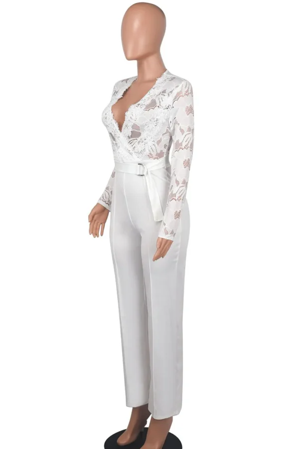 Casual Lace See-through With Belt Zipper V Neck Regular Jumpsuits