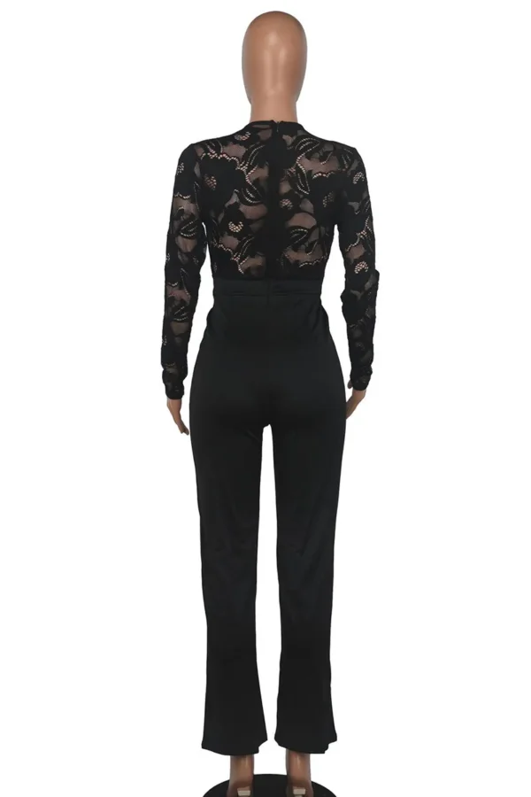 Casual Lace See-through With Belt Zipper V Neck Regular Jumpsuits
