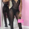 Black Sexy Lace See-Through V Neck Regular Jumpsuit