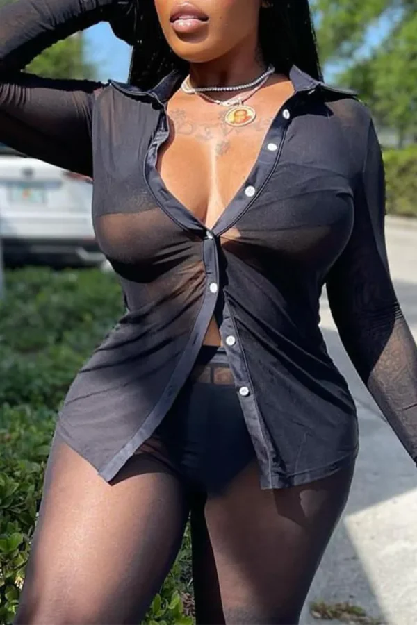 See-through Mesh Turndown Collar Tops